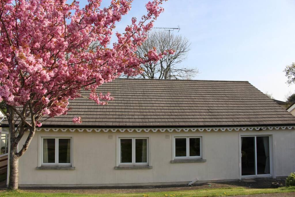 Sunny Bungalow Courtown Exterior photo
