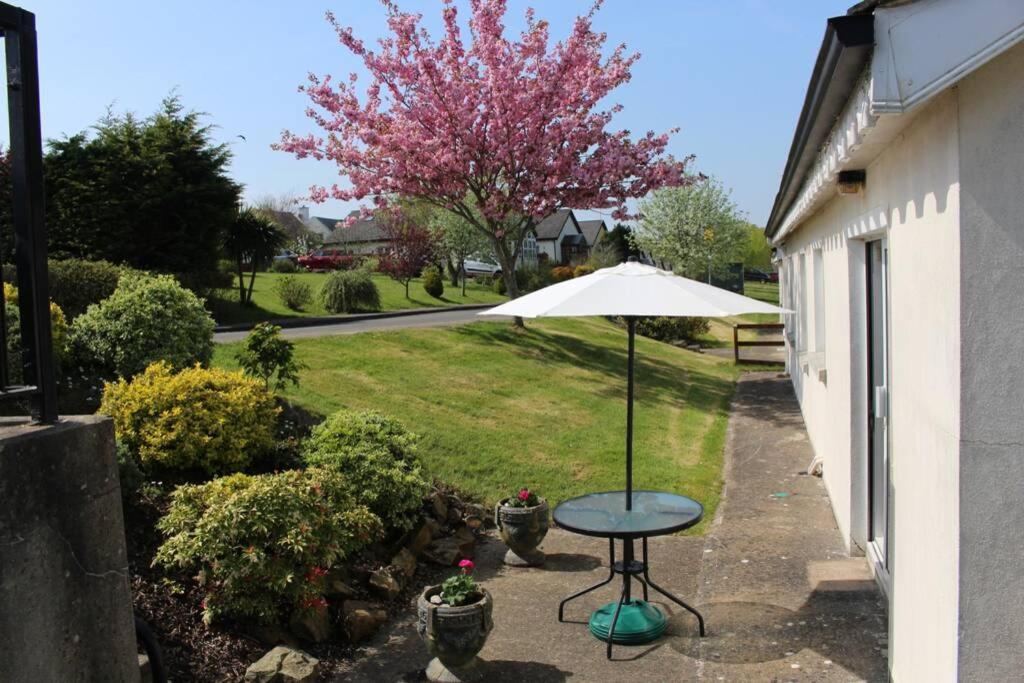 Sunny Bungalow Courtown Exterior photo
